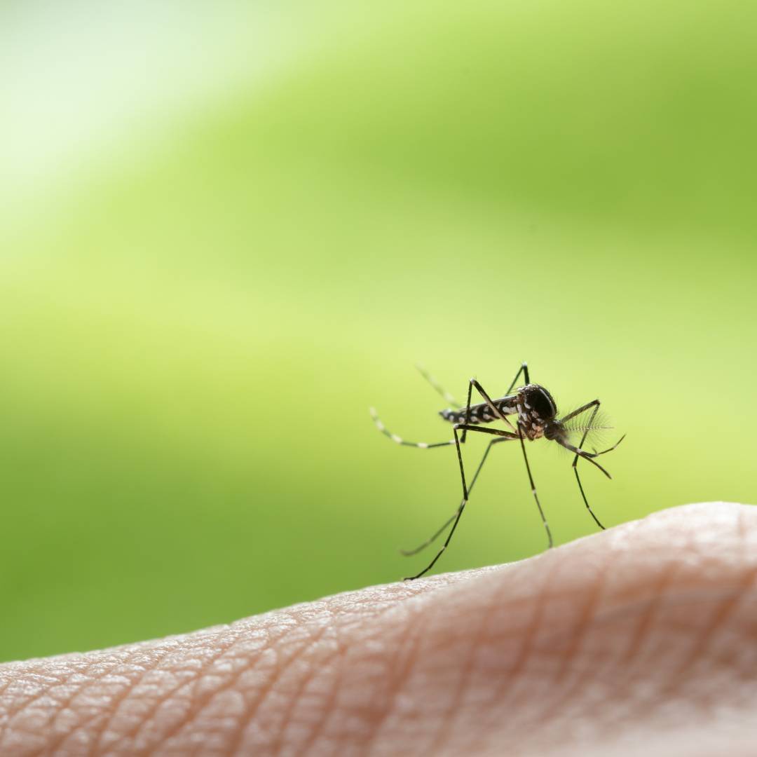 萬有清潔的資訊專區圖片